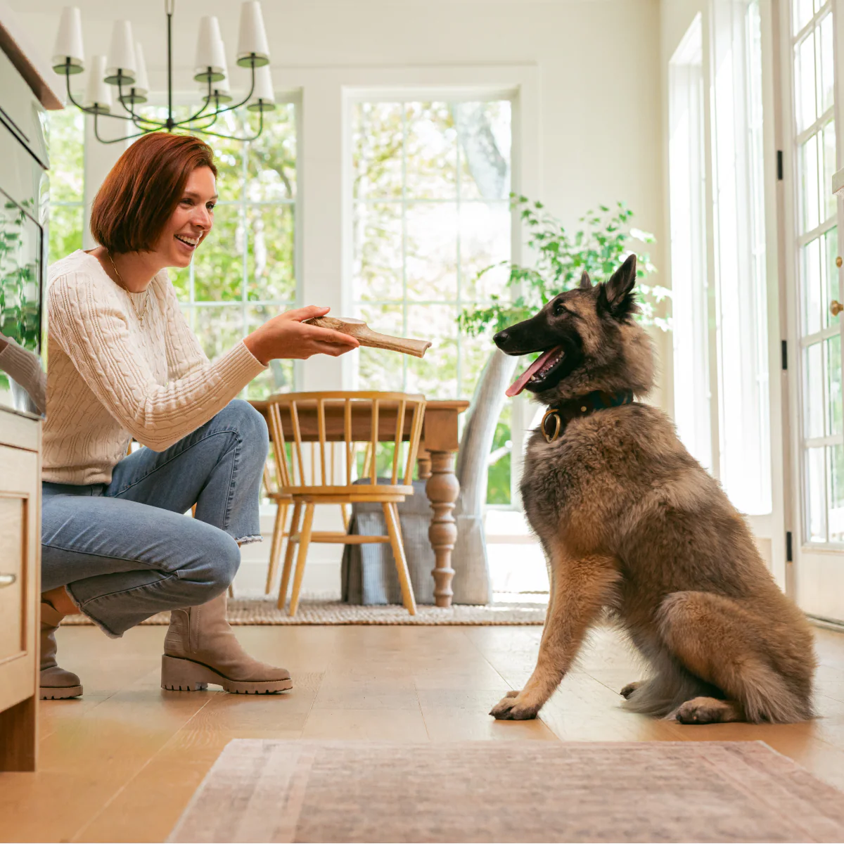 Large dog with antler